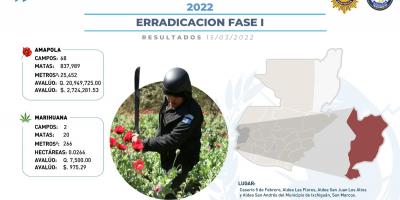 Erradican más de 800 mil matas de amapola y decomisan marihuana
