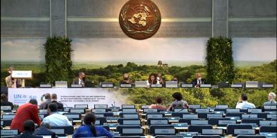 MARN presente en Asamblea de Naciones Unidas sobre Medio Ambiente