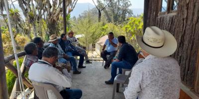 Impulsan formación forestal para la protección de los bosques