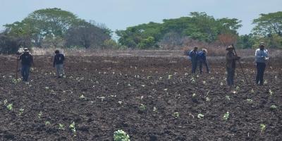 Acciones de Desarrollo en Ratalhuleu