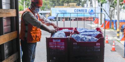 Ayuda humanitaria. 