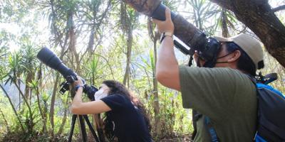 Avistamiento de aves