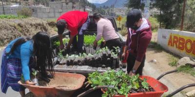 Totonicapán prepara jornadas de reforestación 