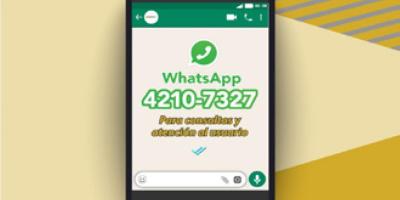 CONSULTAS POR WHATSAPP