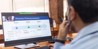 Proceso presupuestario 