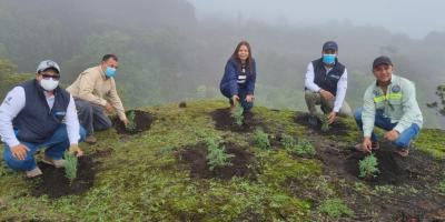 Reforestan en Escuintla áreas de importancia para la recarga hídrica