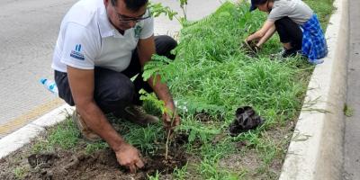 Destacan importancia de los árboles y la reforestación en El Progreso 