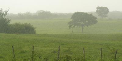Prevén invierno más copioso para el próximo trimestre 