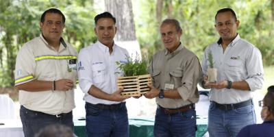Más árboles para reforestar y restaurar Guatemala