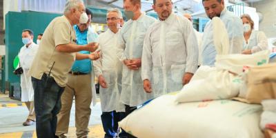 Guatemala avanza para proteger la producción de fruta libre de mosca del Mediterráneo 