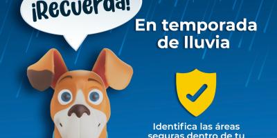 ☔️? Ante la temporada de lluvia es importante que tomes en cuenta las siguientes recomendaciones. #Mineduc