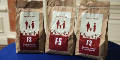 Presentan nuevo maíz biofortificado