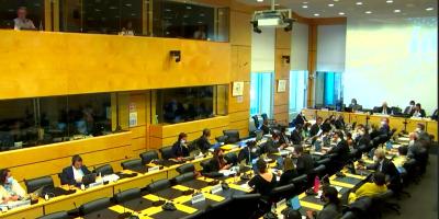 Guatemala presenta avances ambientales ante comité de la ONU