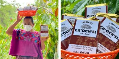 Productora de cacao de Petén.