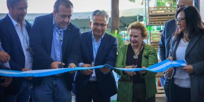 Guatemala avanza en la admisibilidad del aguacate a Estados Unidos