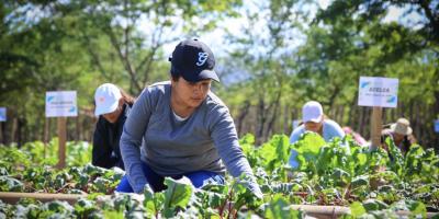 Huerto Comunal El Jícaro