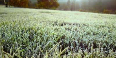 MAGA alerta al sector agropecuario ante el ingreso de frente frío 