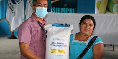 Más de cinco mil familias reciben semilla certificada de frijol en Petén