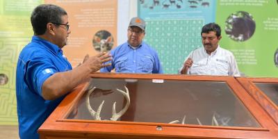 MARN apoya esfuerzos para reducir el tráfico de animales y conservar los ecosistemas