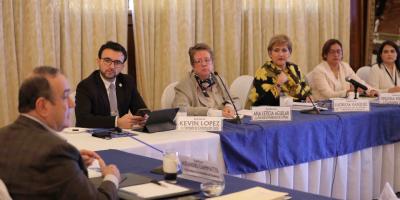 La Secretaria Presidencial de la Mujer Ana Leticia Aguilar Theissen