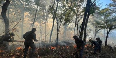 Ejército de Guatemala ha contribuido en el sofocamiento de 47 incendios forestales, durante la temporada 2022-2023.