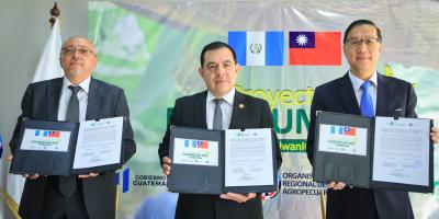 Guatemala recibe primer desembolso del proyecto regional para la prevención del Fusarium 