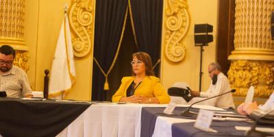 Subsecretaria Presidencial de la Mujer participa en reunión del PreConadur