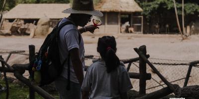  Como parte de su atención en la residencia del departamento, las niñas y niños reciben terapias en las que también aprenden sobre animales 