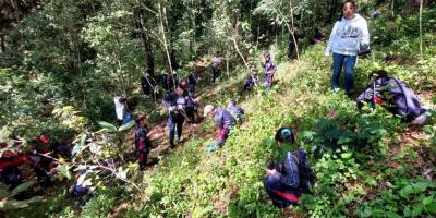 Reforestación en San Pedro Sacatepéquez, San Marcos involucra a estudiantes