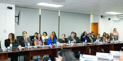 Subsecretaria Presidencial de la Mujer participó en la Reunión Ordinaria del GEDS