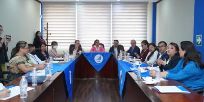 INE PRESENTA RESULTADOS DE PRUEBA PILOTO DE ENCABIH  A COOPERANTES NACIONALES E INTERNACIONALES