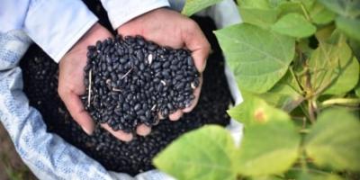 Ministro llama a fortalecer al sector agropecuario para afrontar retos de seguridad alimentaria 