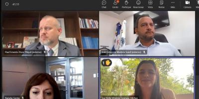 Reunión virtual previa al Consejo Regional de Planificación