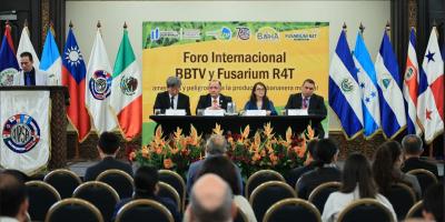 Guatemala fortalece capacidades para enfrentar la amenaza del Fusarium R4T