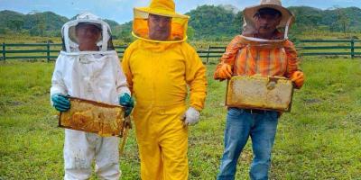 Apicultores de Petén se adaptan al cambio climático