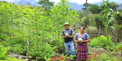 Optimizar la agricultura familiar es una prioridad