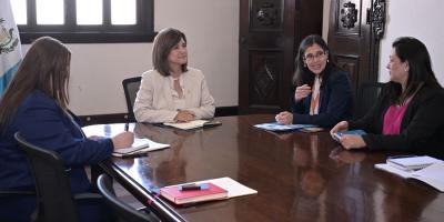 Presidenta en funciones Karin Herrera 