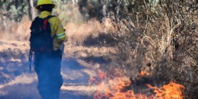 Socialización de acciones en prevención de incendios forestales en Petén