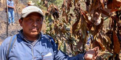 Incendio destruyó algunos cultivos de pequeños productores