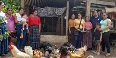Promueven sistema sostenible de crianza de aves criollas