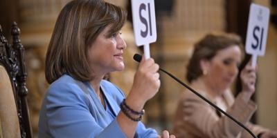 Karin Herrera, Presidenta en Funciones