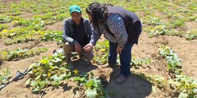 Agricultores de Sumpango reciben acompañamiento técnico postcosecha