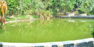 Aproveche las lluvias para captación de agua