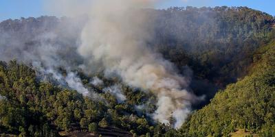 Conozca las medidas para prevenir un incendio forestal