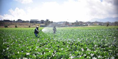 Fin de semana será caluroso, aplique estos consejos agrícolas 