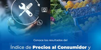 En febrero del 2024, el Índice de Precios al Consumidor (IPC) base diciembre 2023=100.0 se ubicó en 100.17, con una inflación mensual de 0.14%