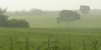 Prevén lluvias en el norte del país durante Semana Santa