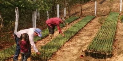 Promueven el incremento de la producción de fuentes de agua y zonas de recarga hídrica