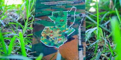 Actualizarán Mapa de Cobertura Vegetal y Uso de la Tierra