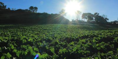 Altas temperaturas y lluvia marcan primera semana de abril